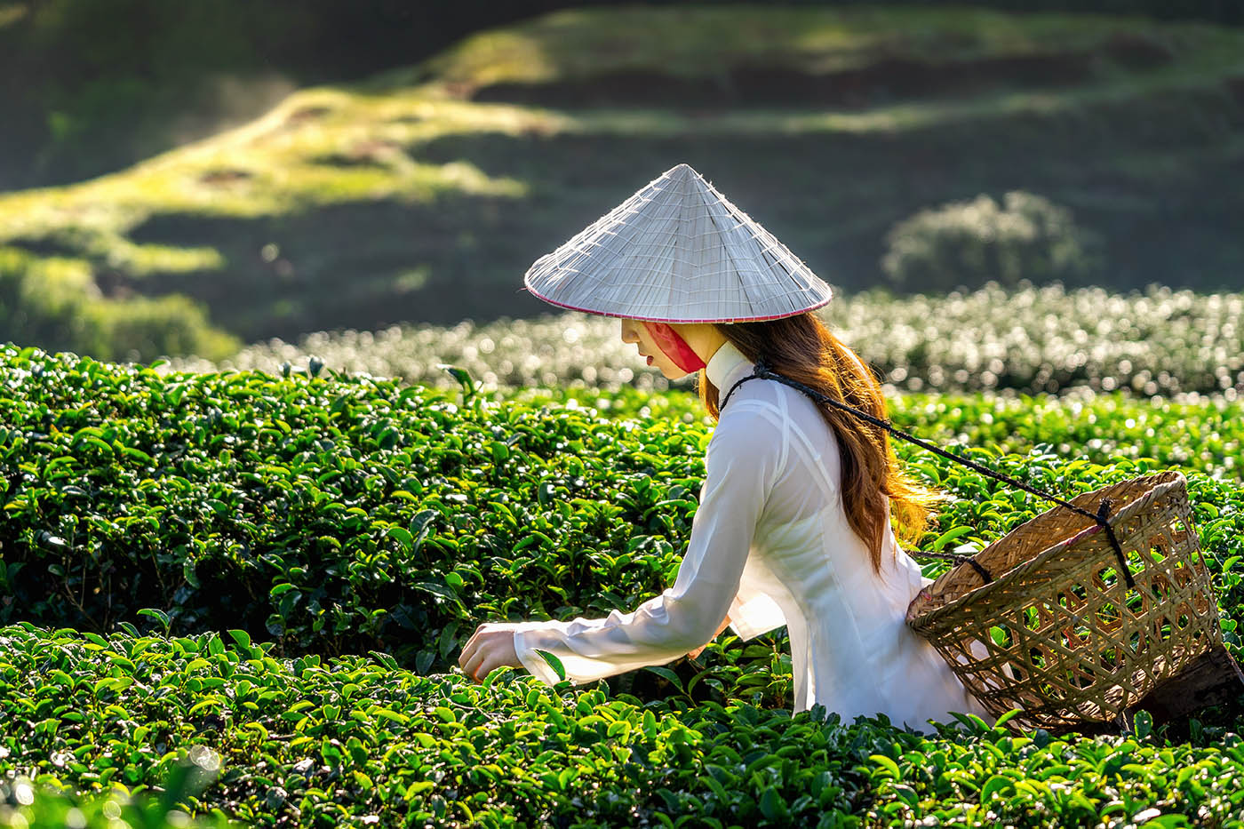 Chiếc nón lá Việt Nam - Biểu trưng vẻ đẹp dịu dàng và đậm chất văn hóa. 2
